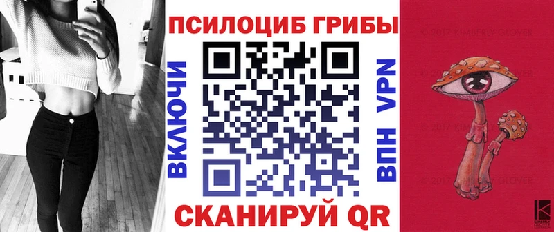 Купить где  Верхний Тагил  Галлюциногенные грибы Psilocybe 